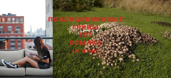 каннабис Липки
