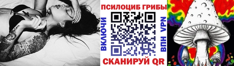 Галлюциногенные грибы Psilocybine cubensis  Купить закладки  Каменск-Уральский 